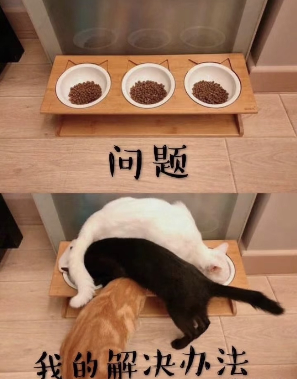 image-921
